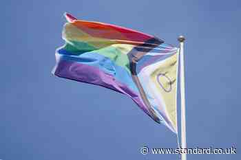 Reform council leader says protesters 'abused our flagpoles' by hanging Pride flags