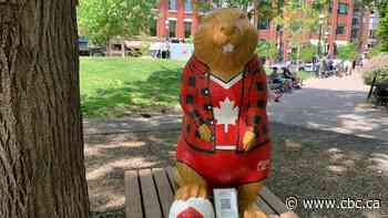 What's open, closed and what to do in Toronto on Canada Day