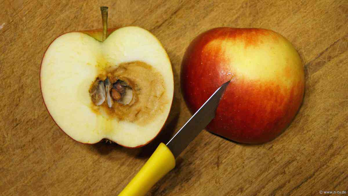Naschkatzen müssen tapfer sein: Das ist die Mogelpackung des Monats