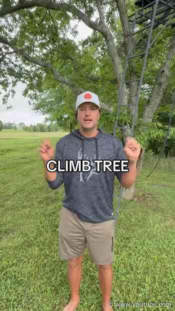 And that’s how you climb tree