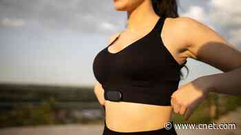 These Are the 3 Best Chest Strap Heart-Rate Monitors for Your Workouts