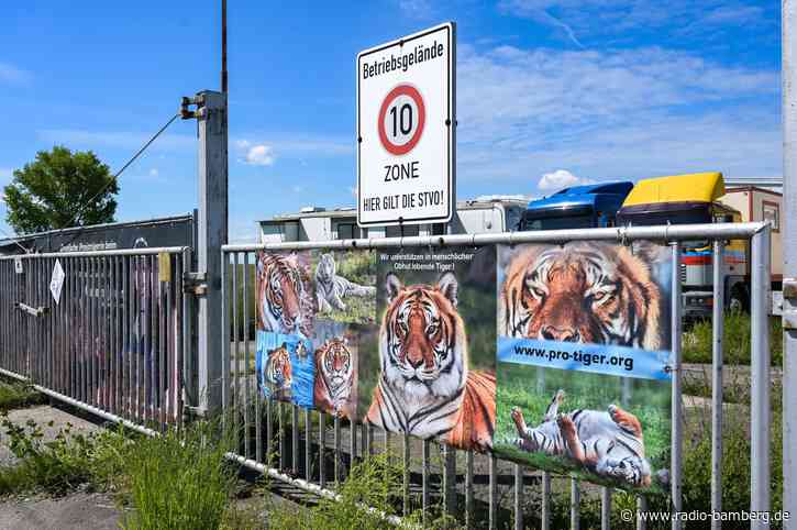 Nach Tigerausbruch – Behörden bei Haltung nahe Leipzig
