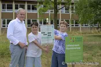 Heidelberg – Junge Menschen aktiv für den Klimaschutz: Idee einreichen, Förderung erhalten, Projekt umsetzen