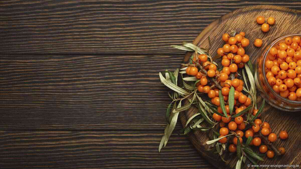 Wie gesund ist die vitaminreiche Beere Sanddorn? Was Studien belegen – und was nicht