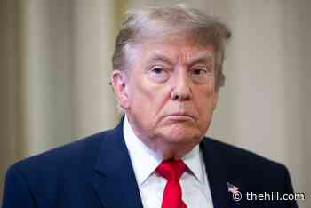 Anything but SAVE America Act is a ‘big yawn’ to Trump