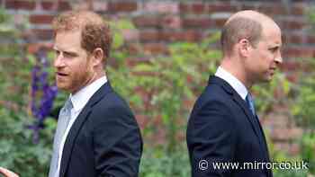 Prince William 'furious' with Harry at unveiling of Diana statue after shocking Oprah interview