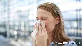 Don't suffer with hay fever – pharmacist shares 6 easy steps to take in summer