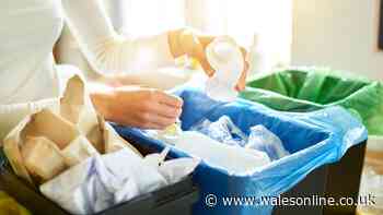 Not cling film or crisp packets – binman names the four types of plastic you can recycle