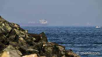 FOR INSIDERS: Iran's flex in Strait of Hormuz puts Trump on back foot