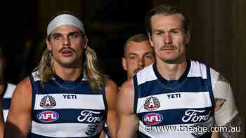 Cats recall key duo for grand final rematch: AFL teams and expert tips for round 17