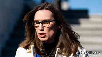 Rep. Sarah McBride rejects being seen as 'walking trans flag' in 'State of Firsts' doc