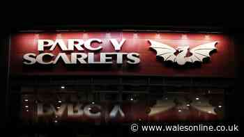 Scarlets announce £2.1m loss as club bemoan 'challenging' time for Welsh rugby