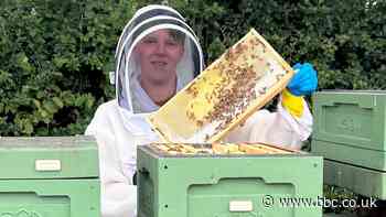 A Devon teenager has been selected to attend the International Meeting of Young Beekeepers