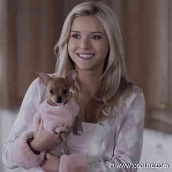 Elle: All the Legally Blonde Easter Eggs Revealed