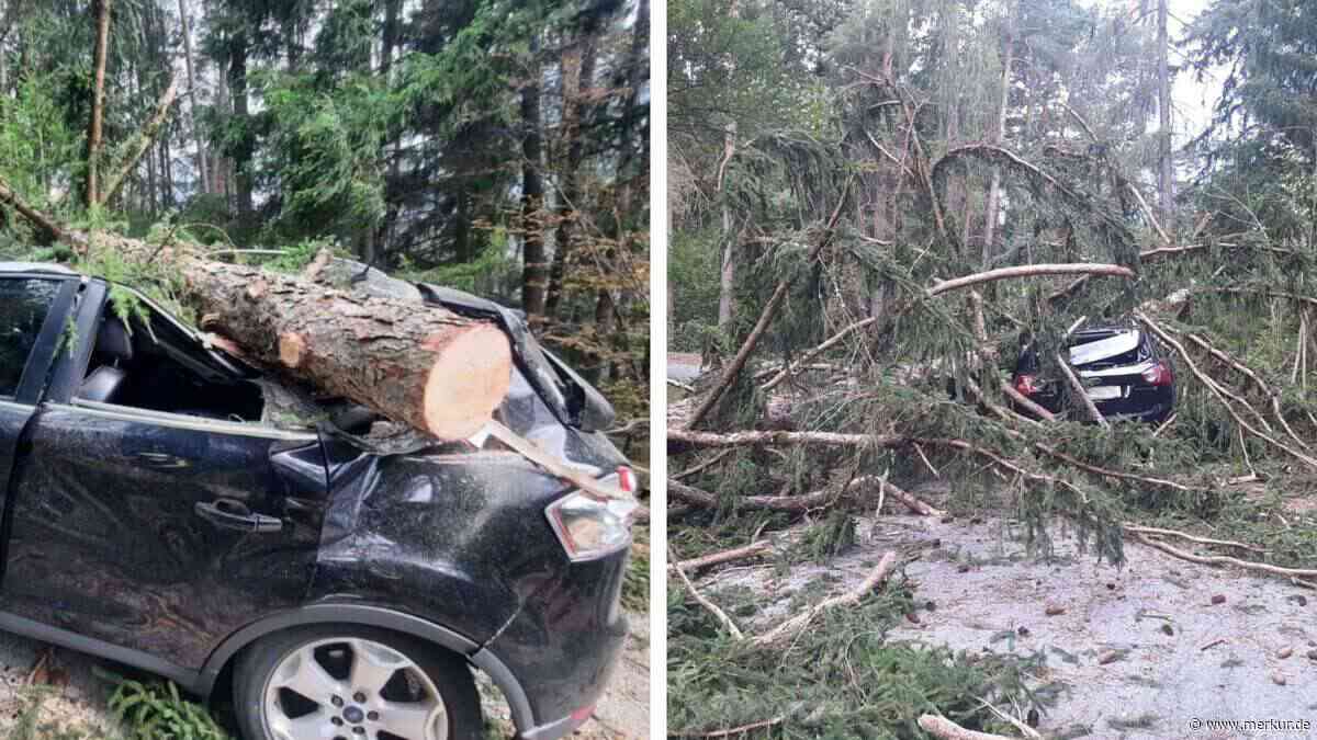 Bei Unwetter in Österreich: 25 Meter hoher Baum kracht auf Auto von deutscher Familie