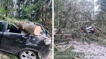 Bei Unwetter in Österreich: 25 Meter hoher Baum kracht auf Auto von deutscher Familie