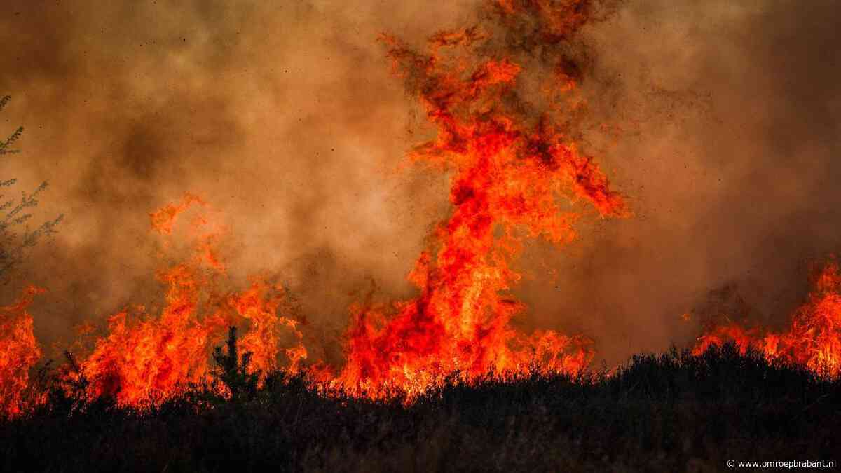 Natuurbranden in Brabant, Defensie deed 'niks strafbaars'