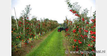 Stimuleringsplan om biologische landbouw in Limburg te verdubbelen