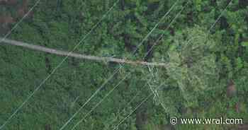 Large tree falls on power lines, causing thousands to lose power in Durham