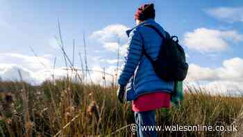 UKHSA update as UK warning issued 'if walking through grassy areas'