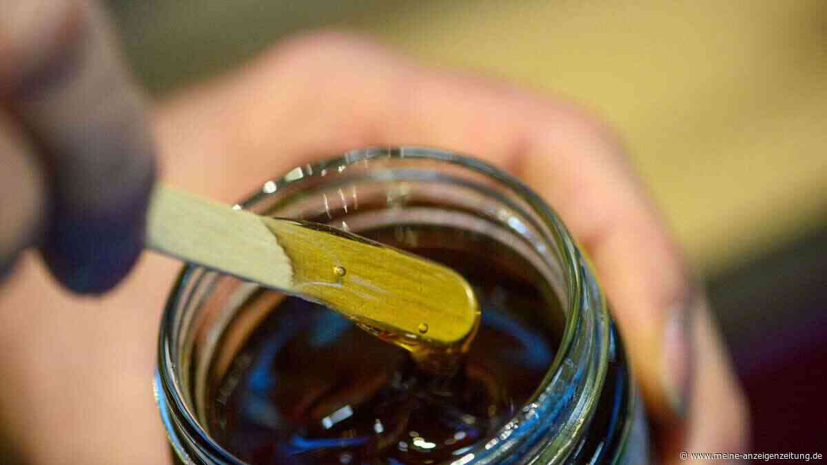 Waldhonig: Bienen brauchen Läuse für das flüssige Gold