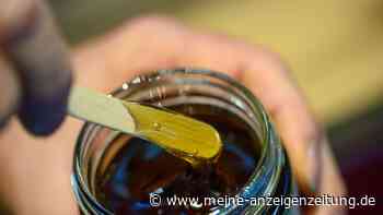 Waldhonig: Bienen brauchen Läuse für das flüssige Gold