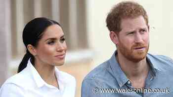 'I'm a royal expert - Harry and Meghan want to show Americans one thing with UK visit'
