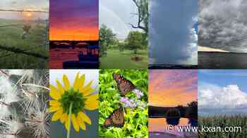 Photo of the Month poll: Vote for the best viewer photo of June