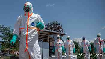 Britain unprepared for Ebola? MPs raise alarm over lack of published government plan to tackle eye-bleeding disease outbreak after France records its first case