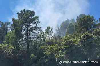 Un feu parcourt 800m2 de végétation, ce mercredi, près de Draguignan