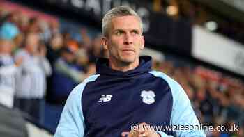 Steve Morison turns up in new job alongside old Swansea City rival in shock move