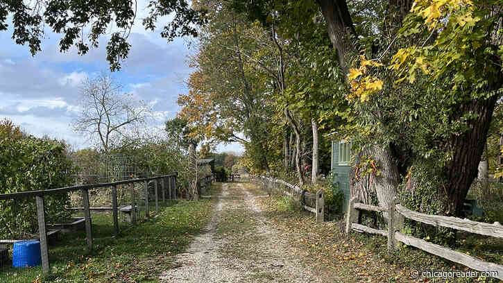 Unplug with nature, architecture, and pastry in Lake Forest