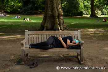UK cities urged to plant more trees to tackle dangerous heatwaves