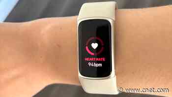 The Best Fitness Trackers for Monitoring Your Workouts and Progress