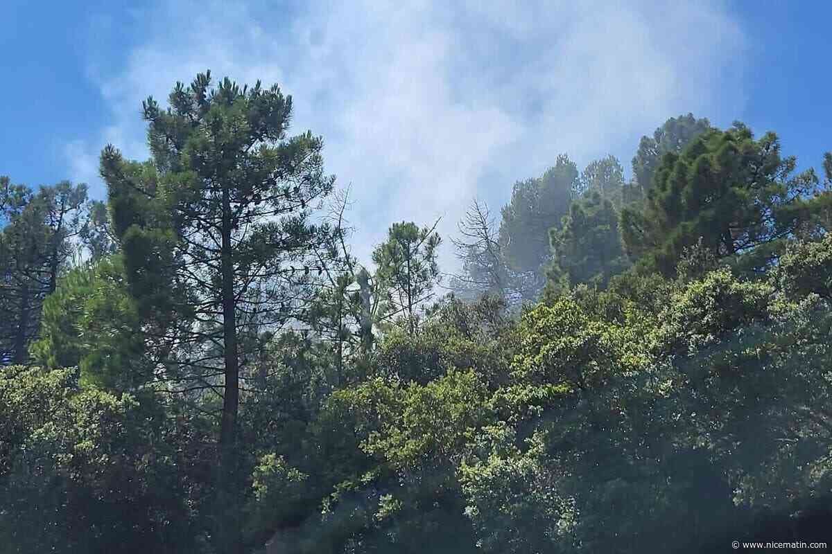 Un feu parcourt 800 m2 de végétation, ce mercredi, près de Draguignan