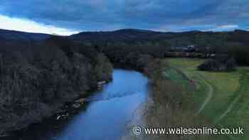 'Shocking' levels of E.coli detected at Welsh swimming spot