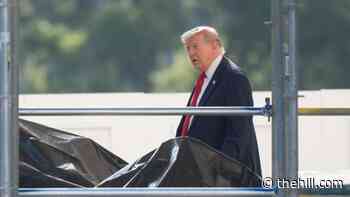 Live updates: Trump heads to North Dakota; democratic socialists notch a win in Colorado