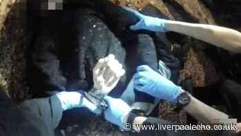 Probe opened into officers who handcuffed dying Henry Nowak after Southampton attack