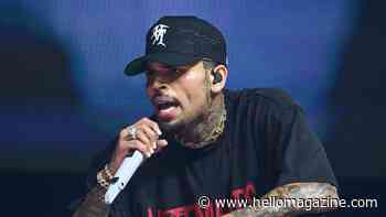 Chris Brown forced to pay almost $13 million to housekeeper mauled by his dog