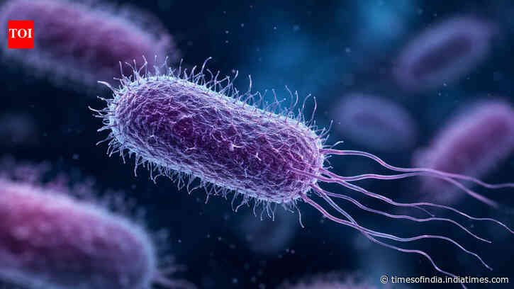 Global AMR Fund picks 12 Indian innovations to tackle antibiotic resistance in environment