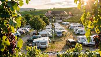 Diese 5 Camping-Fehler kosten Nerven – und verderben schnell den Urlaub