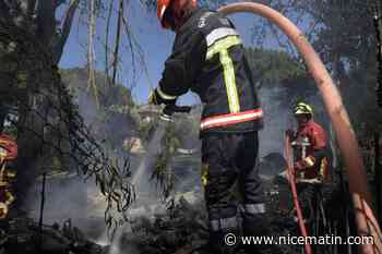Feu de broussailles maîtrisé à Saint-Tropez