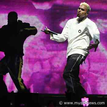 Chris Brown ordered to pay housekeeper 13m dollars after savage dog attack