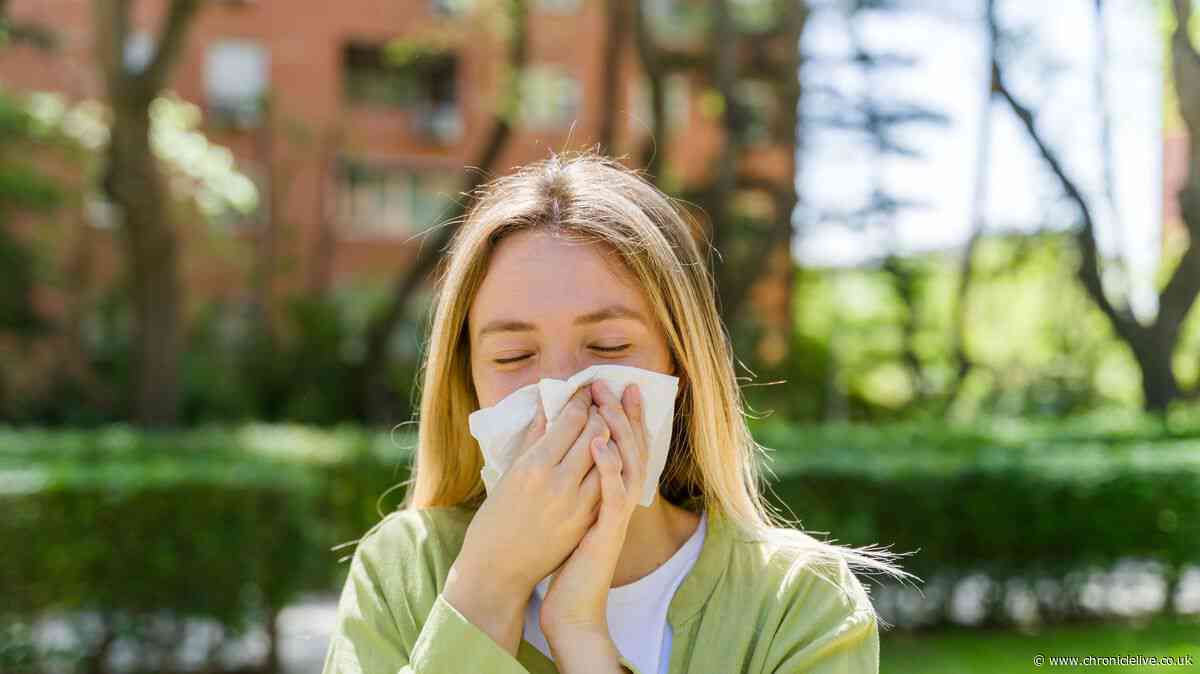 Stop suffering from hay fever and try pharmacist's 6 easy steps to ease symptoms