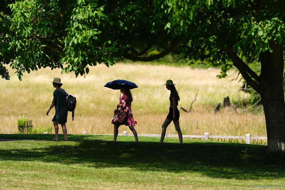 Warmest June on record for England and second warmest for UK