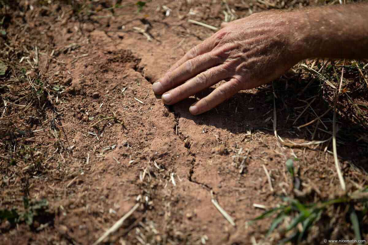Le Var passe en vigilance sécheresse, la préfecture lance un appel pour économiser l’eau