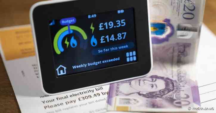 Millions of people warned to check their energy meter readings after price hike