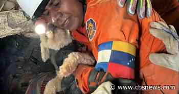 Dog pulled from rubble 5 days after Venezuela quakes, video shows