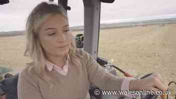 Clarkson's Farm's Harriet Cowan says 'Jeremy missed a trick' after Diddly Squat discovery