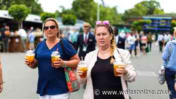 Wimbledon tennis fans fume as they discover cost of a glass of Pimm's